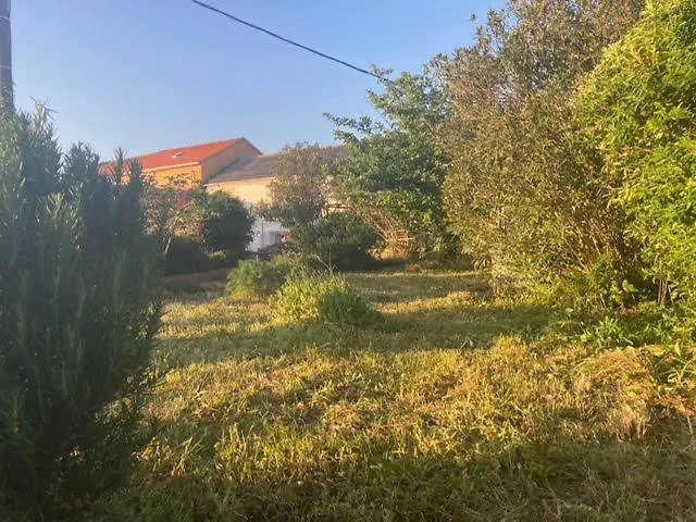 Vila Klara Olib Croatia