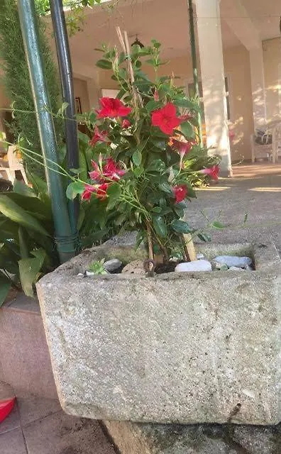 Vakantiehuis Vila Klara Olib Kroatië