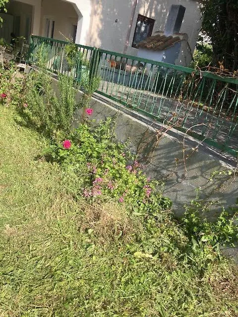 Vila Klara Olib